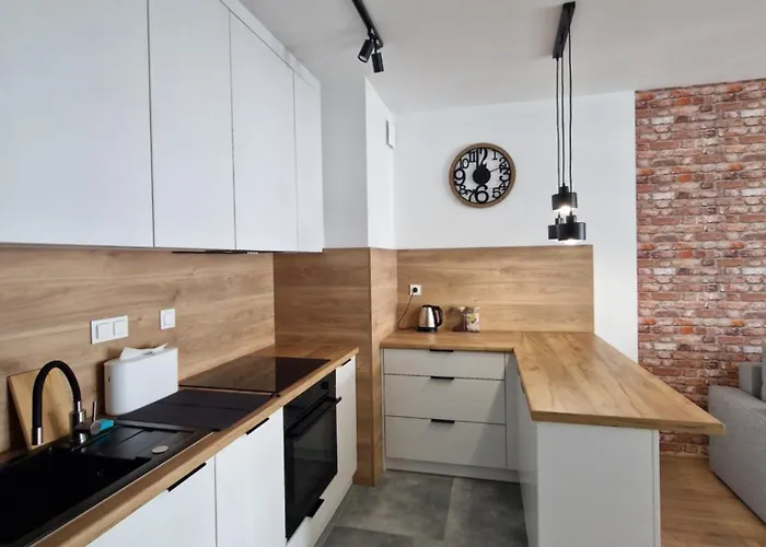 Paderewskiego Two Bedrooms Private Garage Fv Self Check-in * Rzeszow